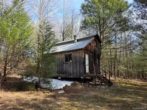 50 Low Road Neversink NY 12765