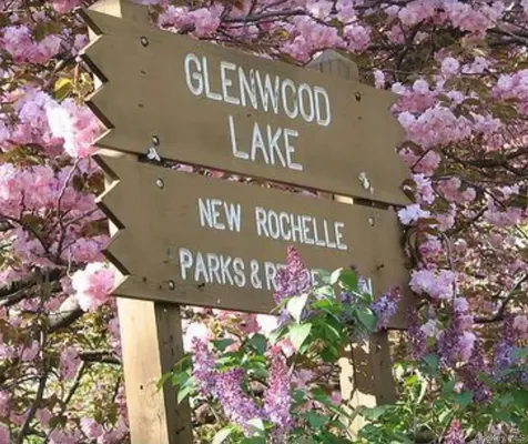 11 Muir Place New Rochelle NY 10801