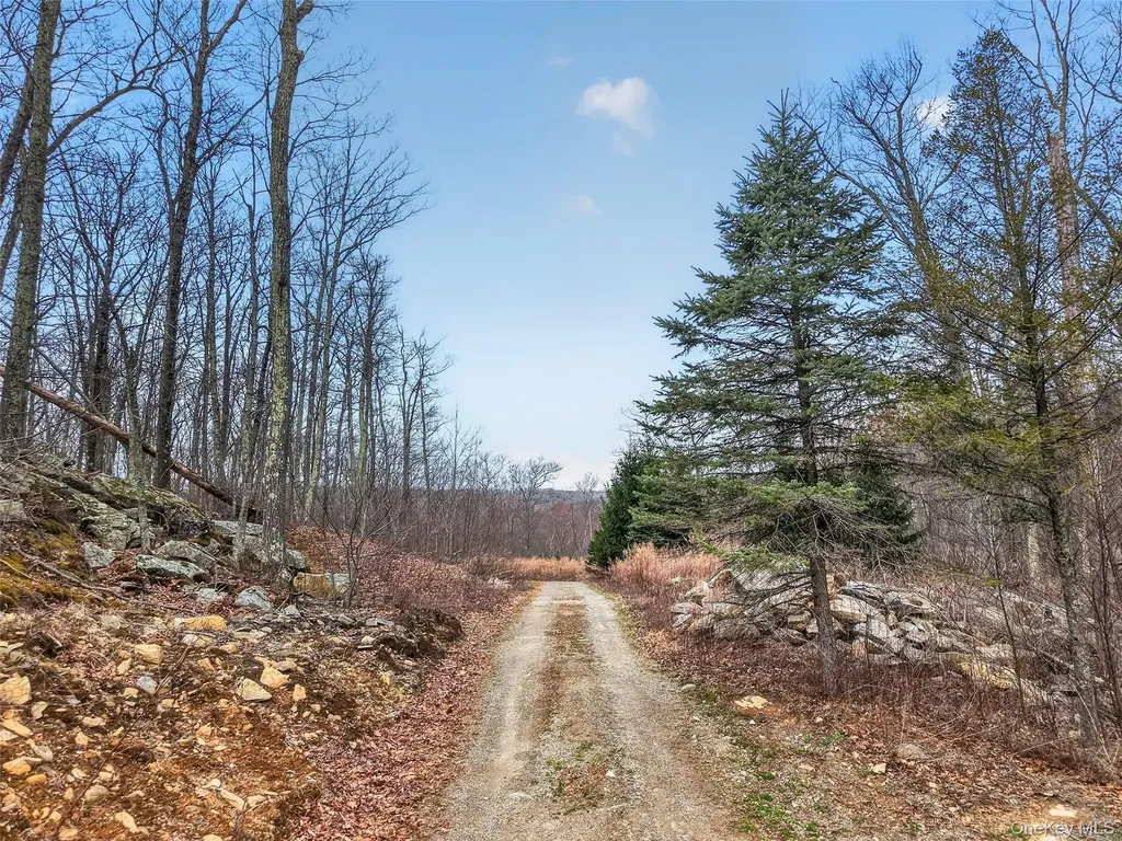 545 Grape Hollow Road Holmes NY 12531