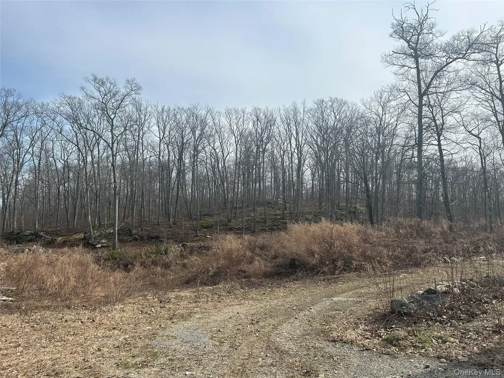 545 Grape Hollow Road Holmes NY 12531