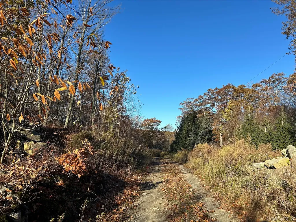 545 Grape Hollow Road Holmes NY 12531