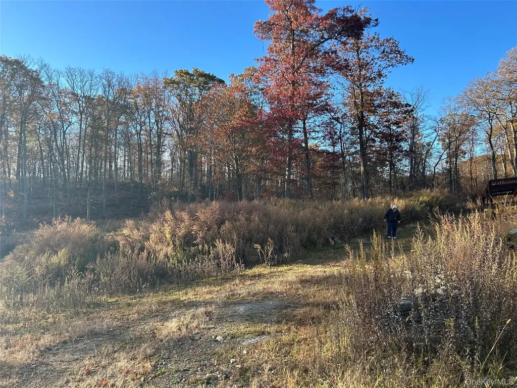 545 Grape Hollow Road Holmes NY 12531