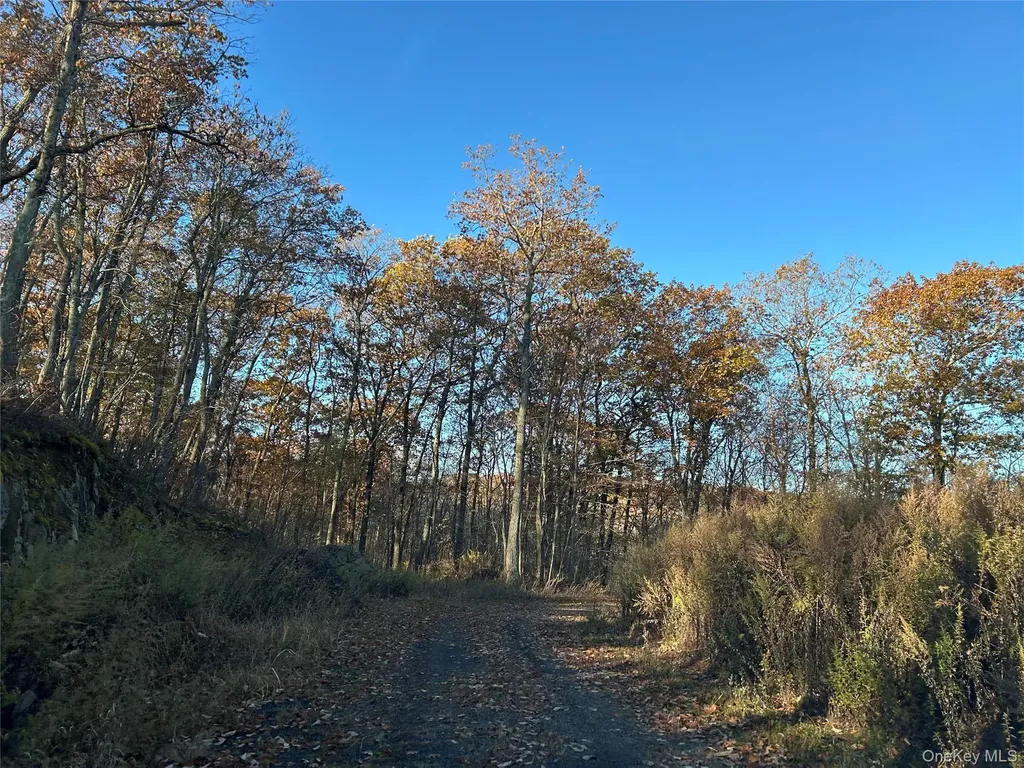 545 Grape Hollow Road Holmes NY 12531