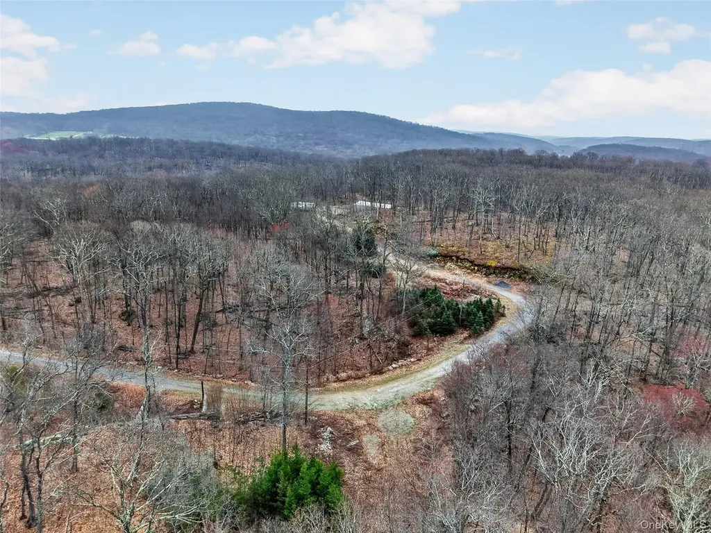 545 Grape Hollow Road Holmes NY 12531
