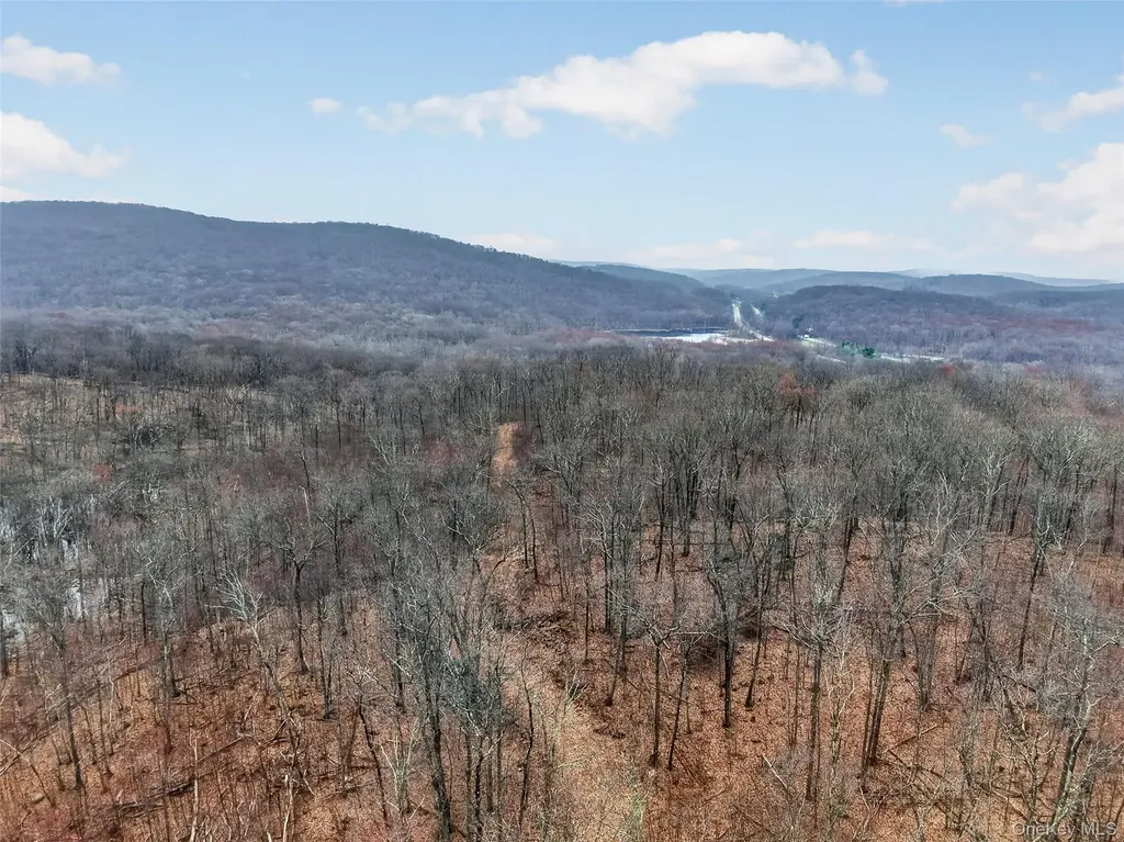 545 Grape Hollow Road Holmes NY 12531