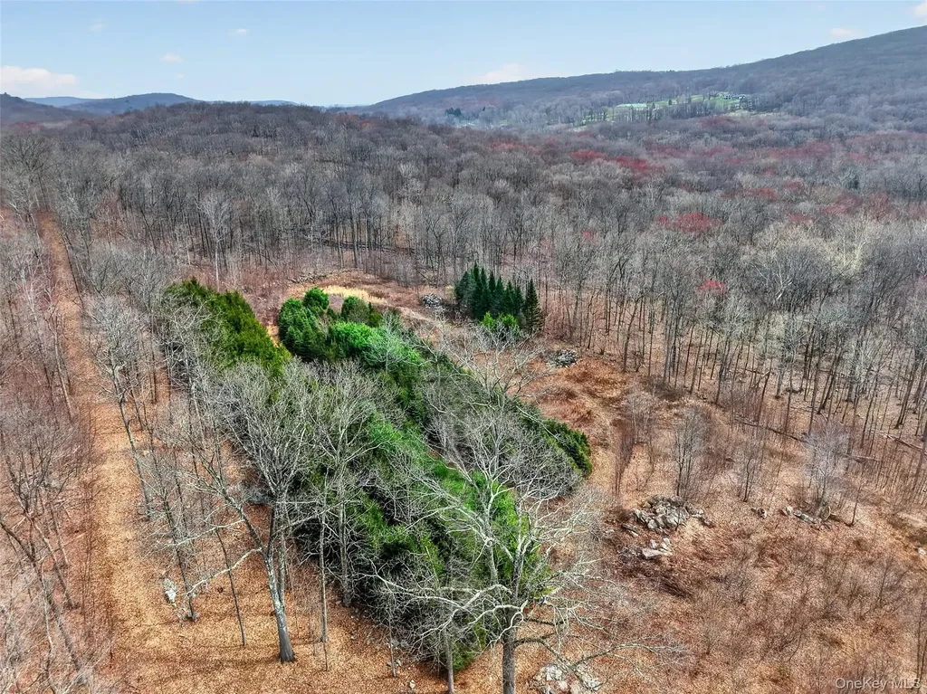 545 Grape Hollow Road Holmes NY 12531