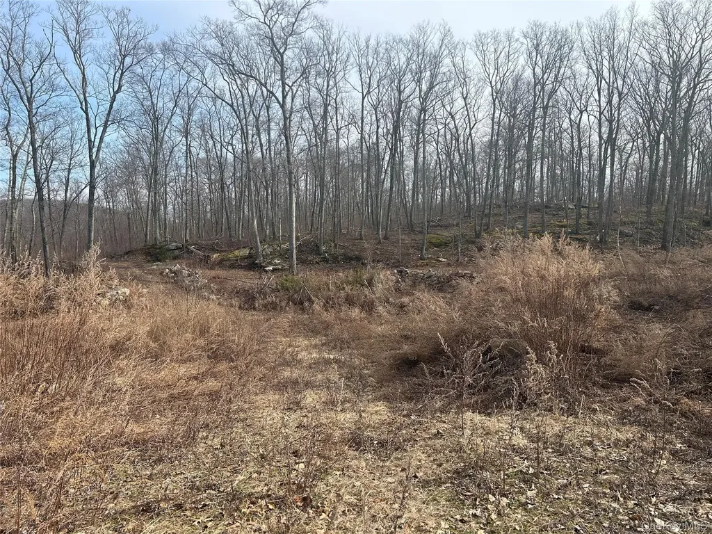 545 Grape Hollow Road Holmes NY 12531