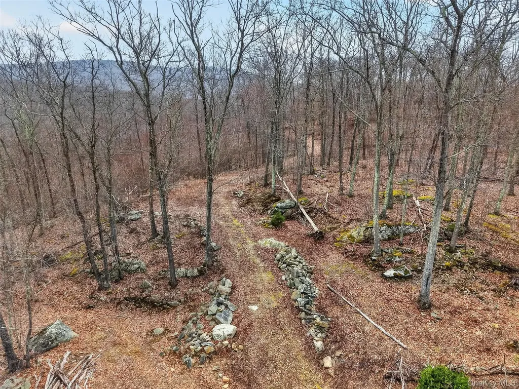 545 Grape Hollow Road Holmes NY 12531