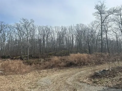 545 Grape Hollow Road Holmes NY 12531