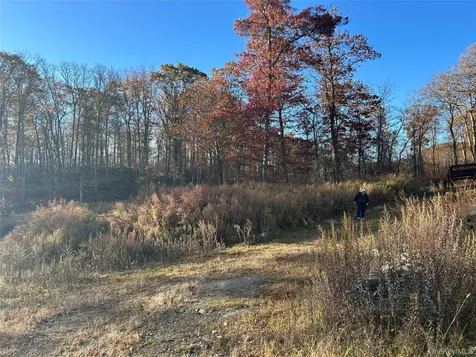 545 Grape Hollow Road Holmes NY 12531