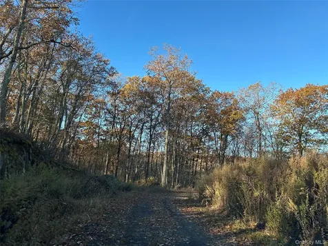 545 Grape Hollow Road Holmes NY 12531