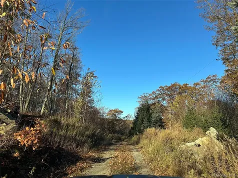 545 Grape Hollow Road Holmes NY 12531