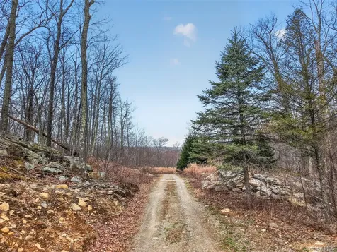 545 Grape Hollow Road Holmes NY 12531