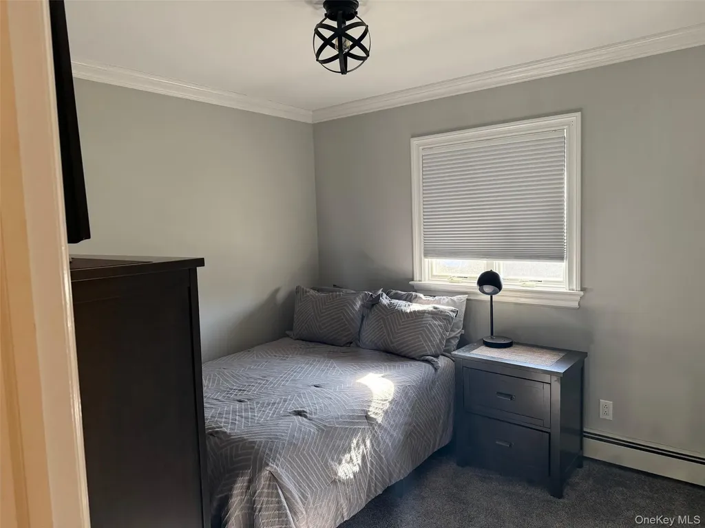 53 Page Drive Hicksville NY 11801