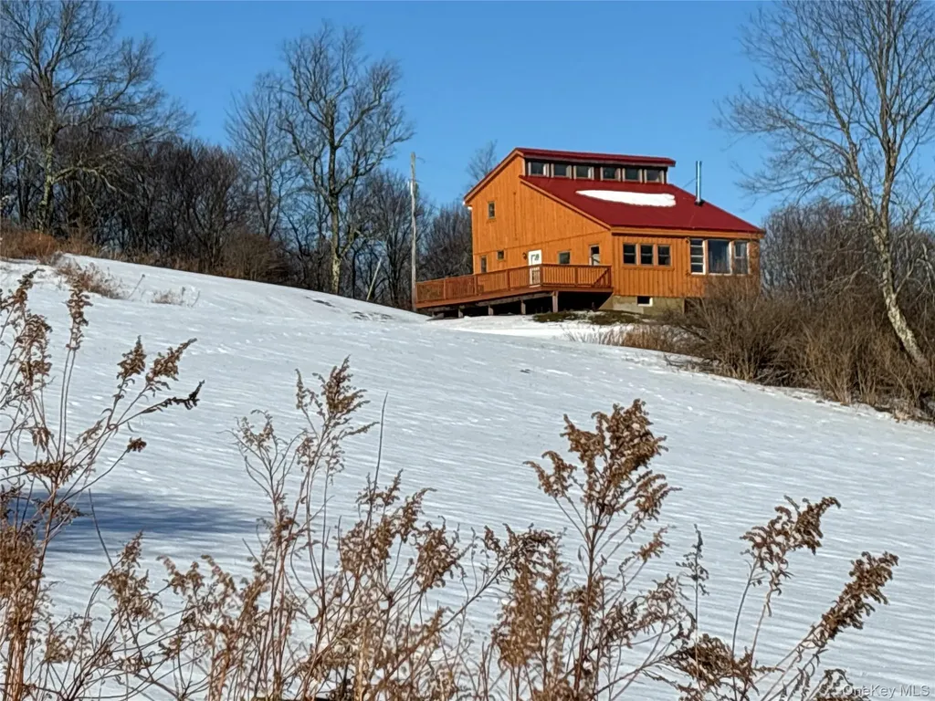 161 Ridge Road Hamden NY 13782