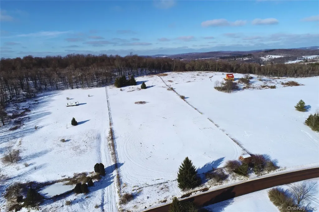 161 Ridge Road Hamden NY 13782