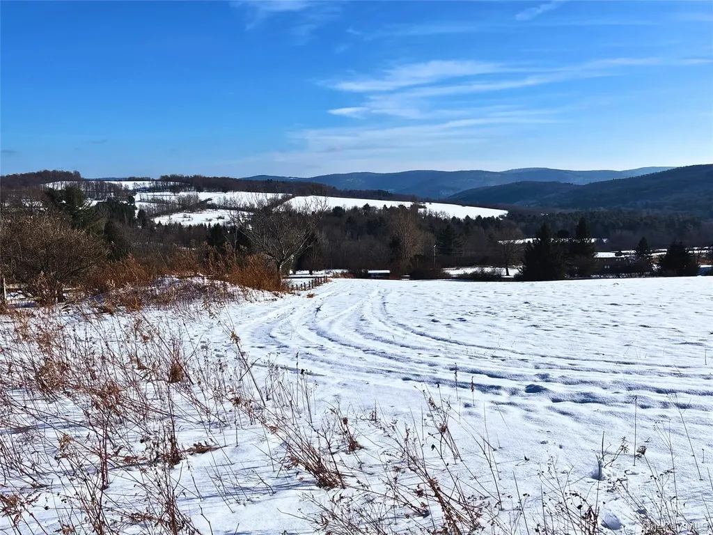 161 Ridge Road Hamden NY 13782