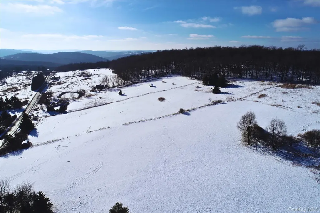 161 Ridge Road Hamden NY 13782