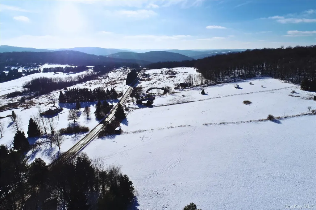 161 Ridge Road Hamden NY 13782