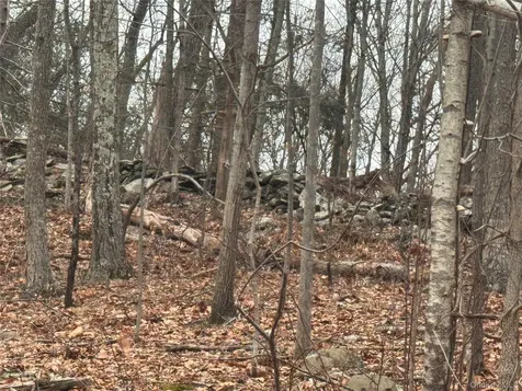 17 Vanessa Lane Staatsburg NY 12580