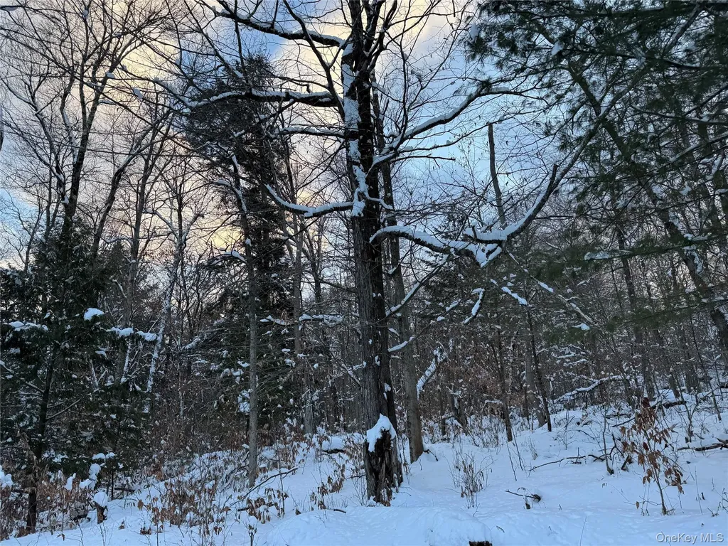 00 Starlight Road Monticello NY 12701