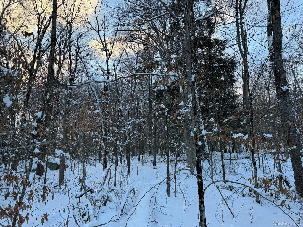 00 Starlight Road Monticello NY 12701