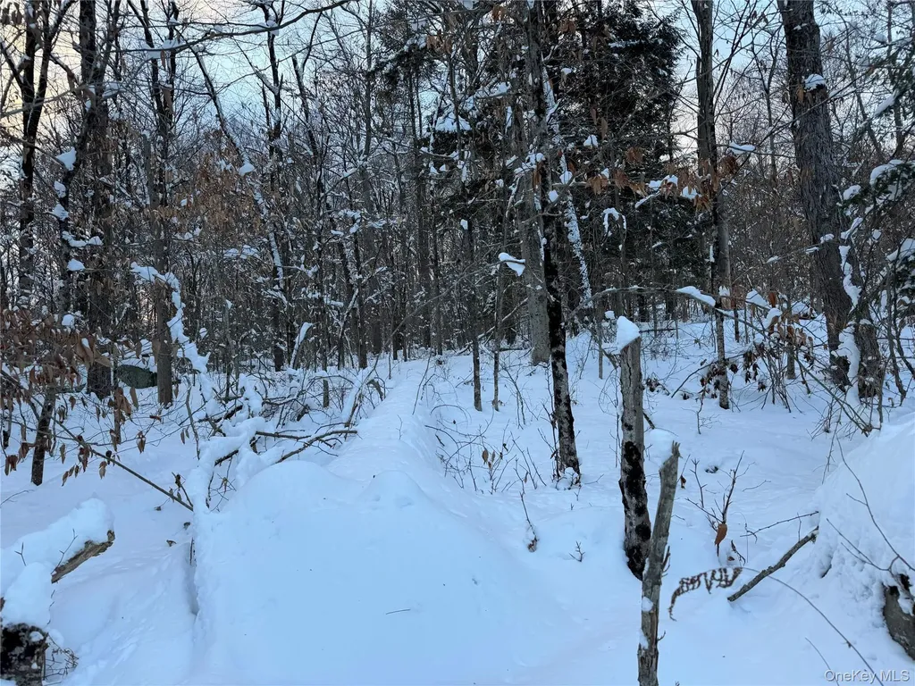00 Starlight Road Monticello NY 12701