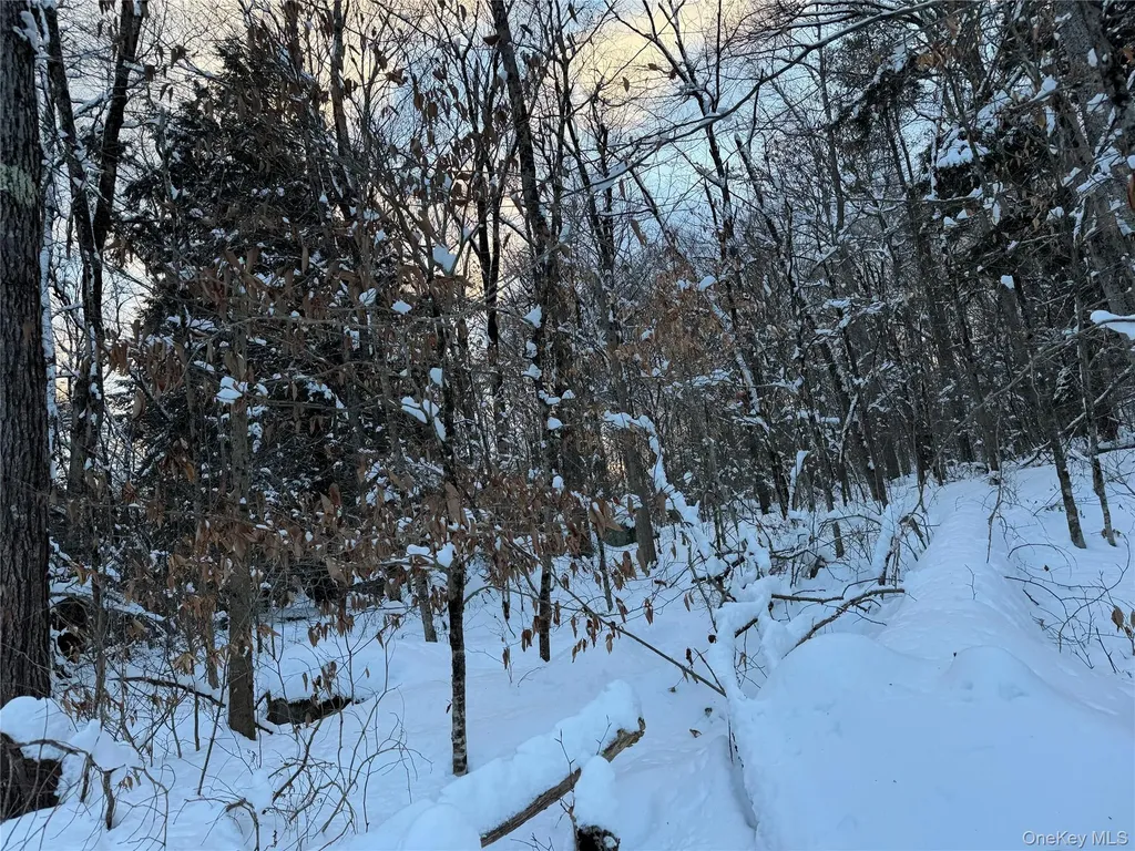 00 Starlight Road Monticello NY 12701