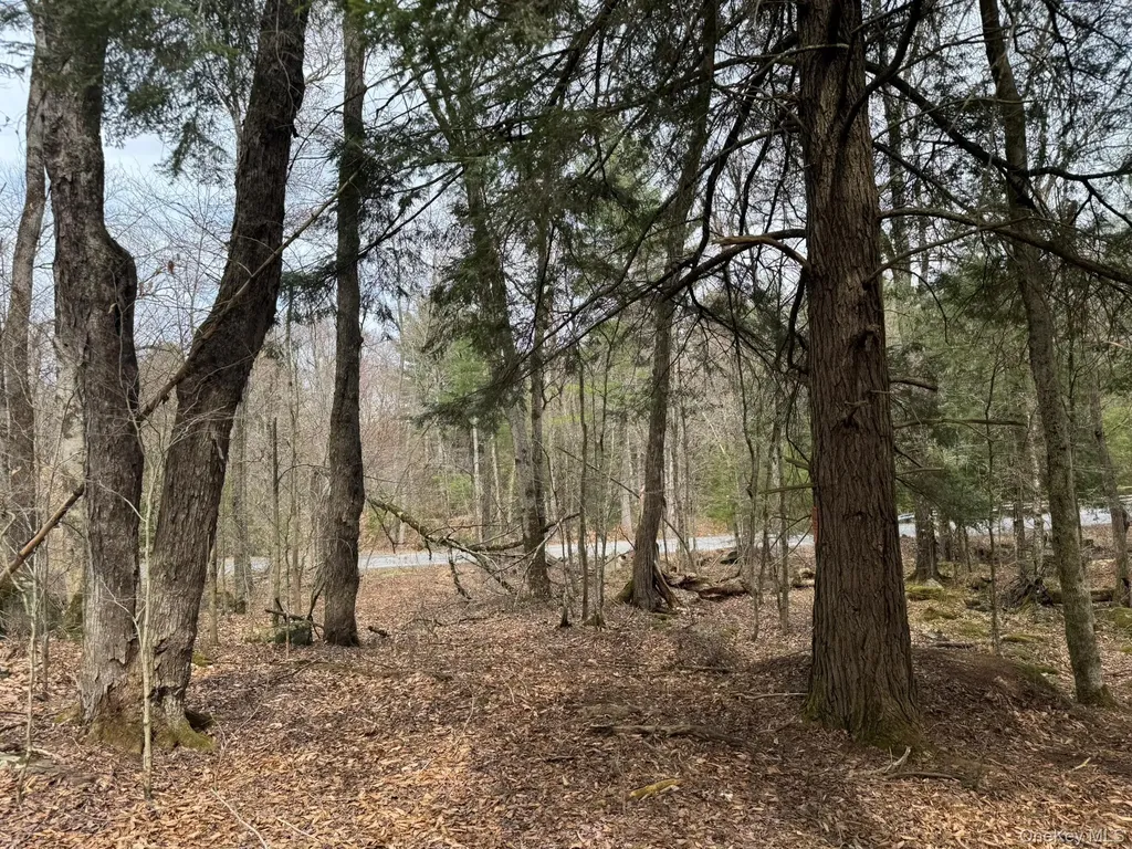 00 Starlight Road Monticello NY 12701