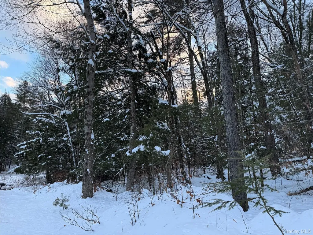 00 Starlight Road Monticello NY 12701