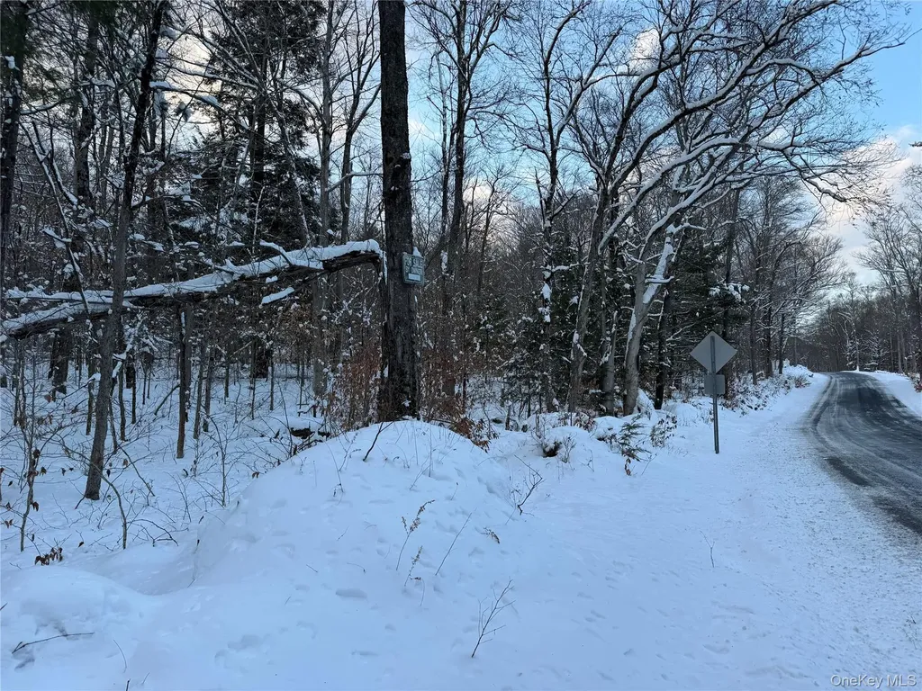 00 Starlight Road Monticello NY 12701
