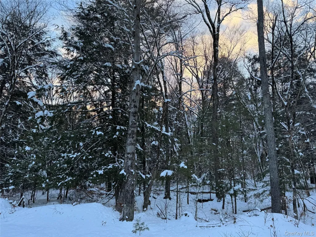 00 Starlight Road Monticello NY 12701