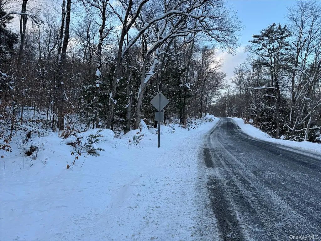00 Starlight Road Monticello NY 12701