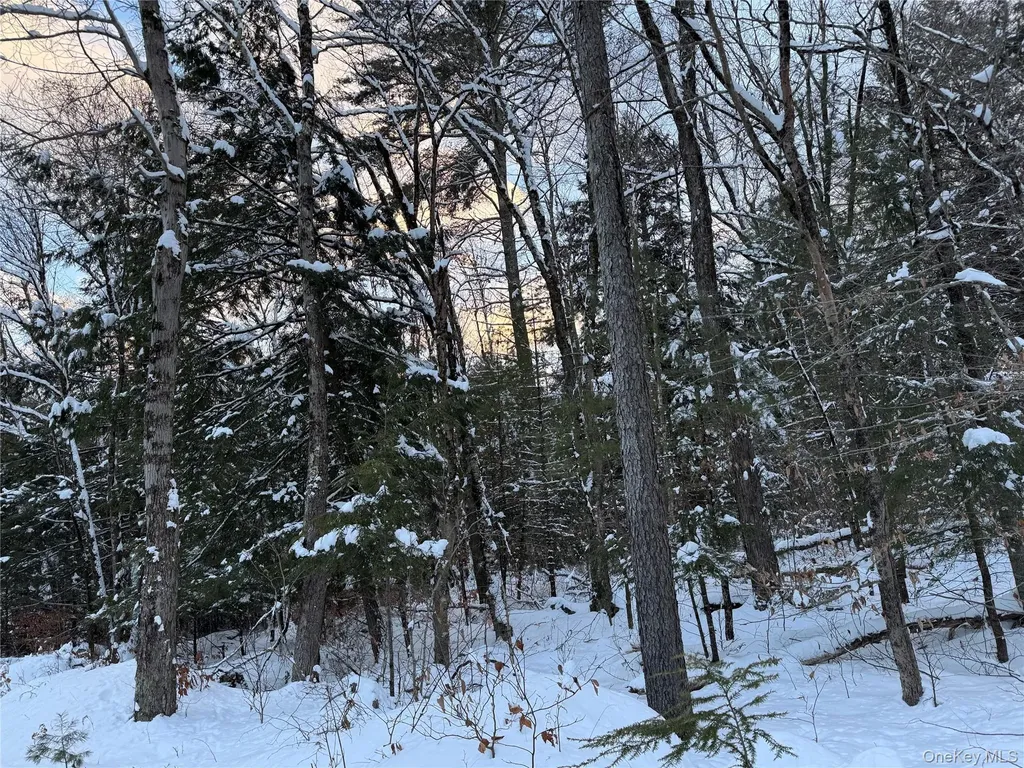 00 Starlight Road Monticello NY 12701