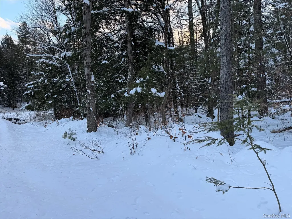 00 Starlight Road Monticello NY 12701