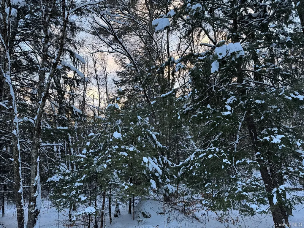 00 Starlight Road Monticello NY 12701