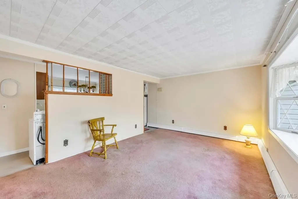 10 Grape Lane Hicksville NY 11801