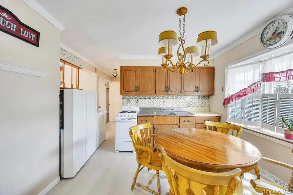 10 Grape Lane Hicksville NY 11801