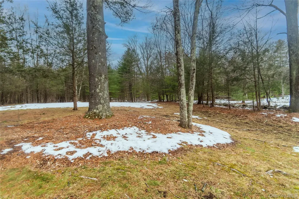 183 Mill Road Olivebridge NY 12461