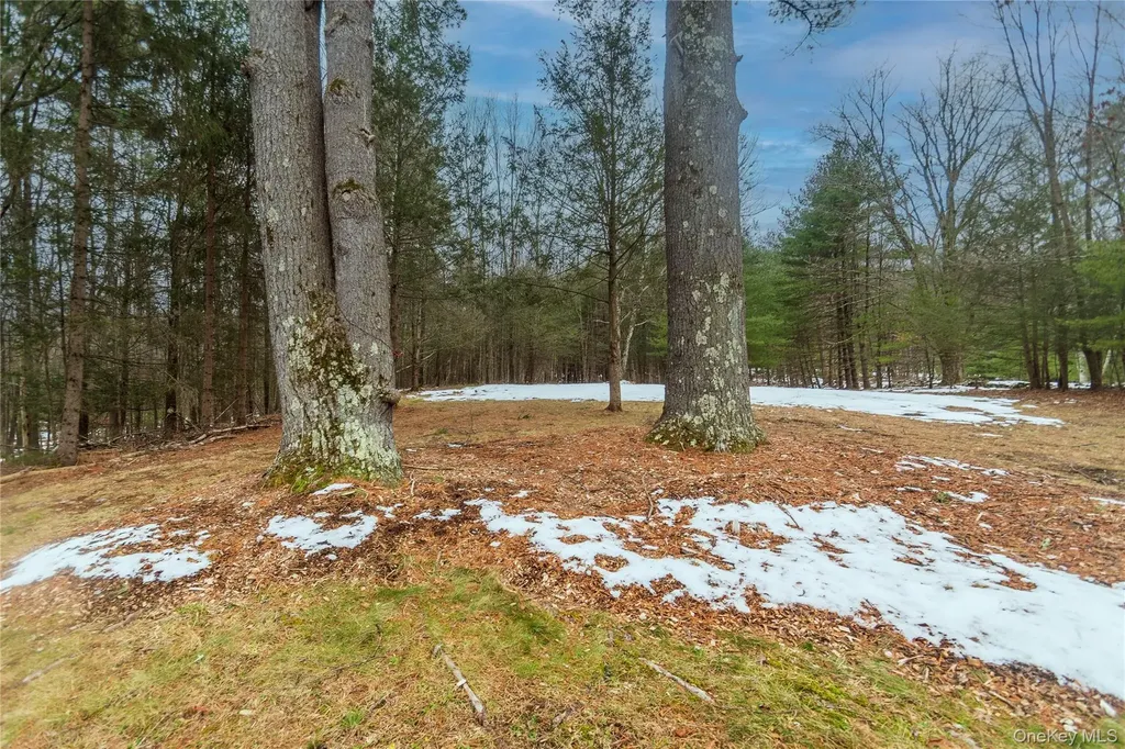 183 Mill Road Olivebridge NY 12461