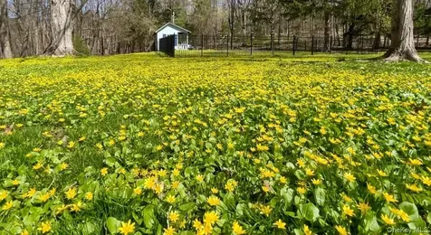 645 Tyrrel Road Millbrook NY 12545