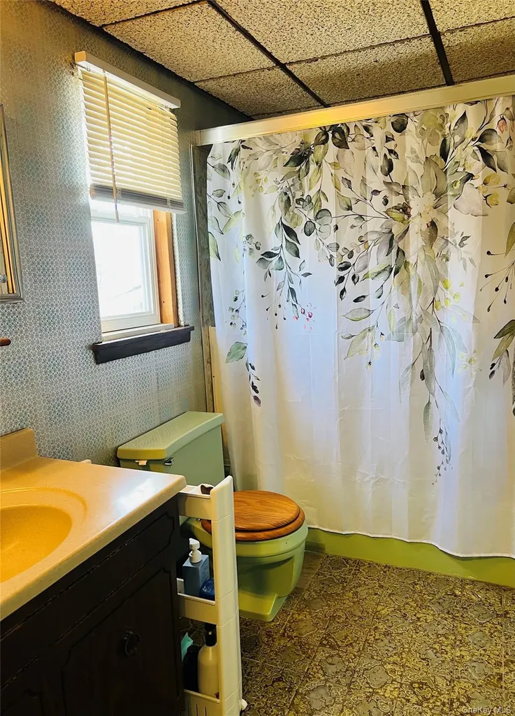 38 Riviera Drive Selden NY 11784