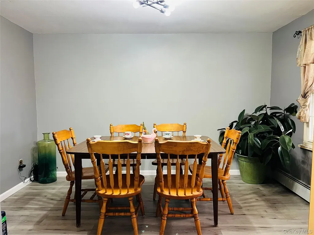38 Riviera Drive Selden NY 11784