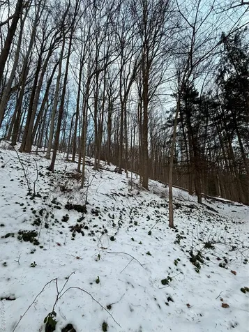 Gallows Hill Road Cortlandt Manor NY 10567