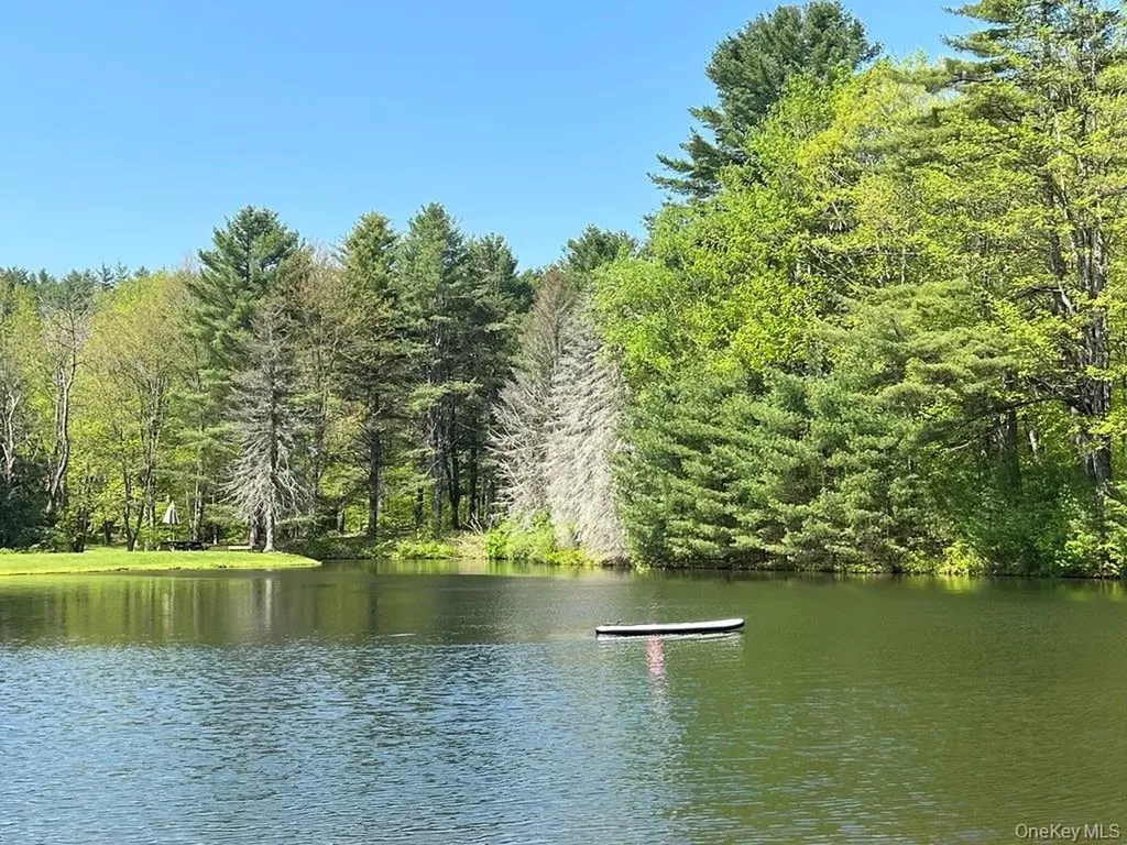 1837 Rich Road Franklin NY 13820