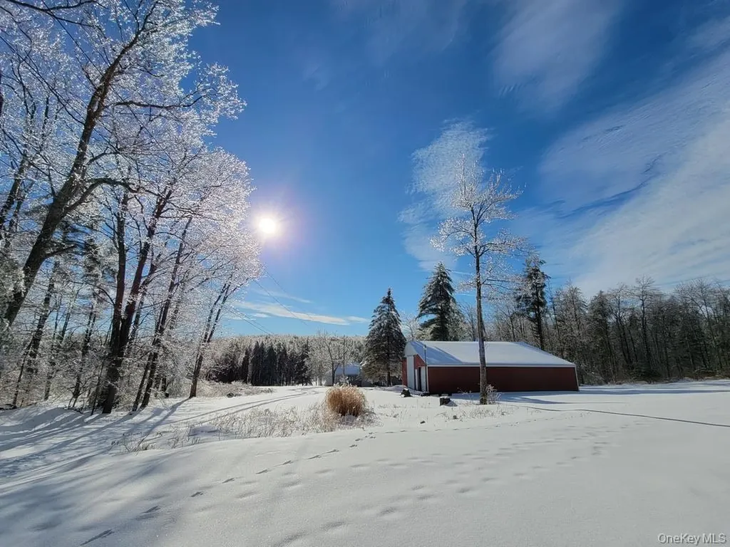 1837 Rich Road Franklin NY 13820