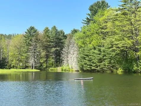 1837 Rich Road Franklin NY 13820