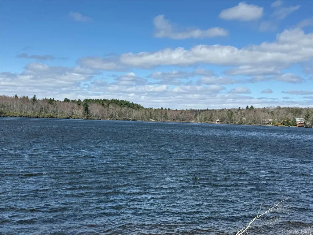 9 Gail Drive Loch Sheldrake NY 12759