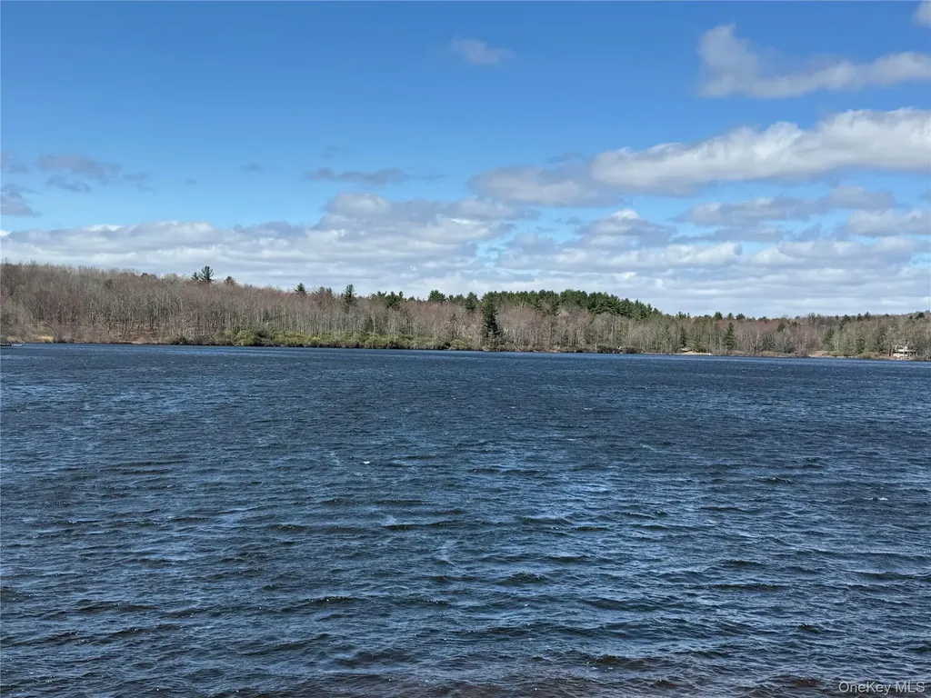 9 Gail Drive Loch Sheldrake NY 12759