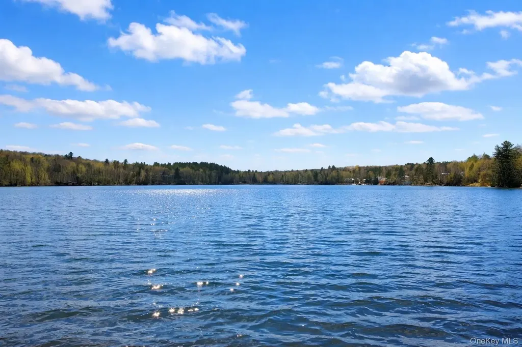 9 Gail Drive Loch Sheldrake NY 12759